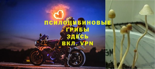 mdpv Вяземский
