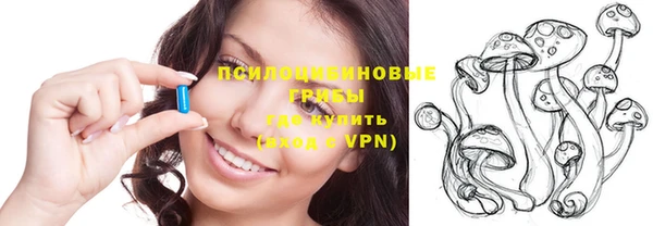 mdpv Вяземский