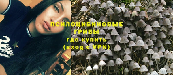2c-b Вязьма