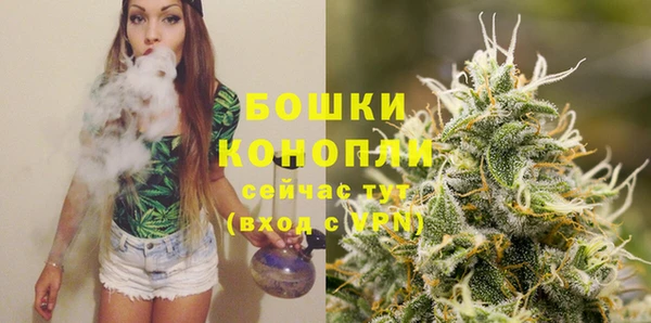 mdpv Вяземский