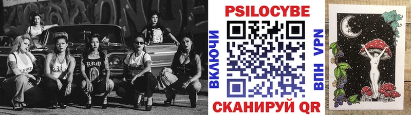Псилоцибиновые грибы Psilocybine cubensis  сколько стоит  Звенигород 